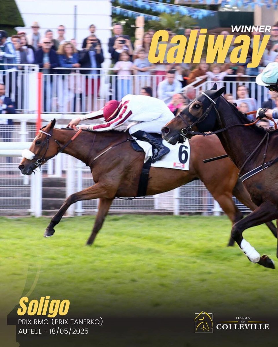 An excellent weekend for GALIWAY with winners in both disciplines.
3yo Colleville homebred filly MATWAY broke her maiden when winning by 2.5 lengths at Vitteaux for Satoshi Kobayashi while 6yo gelding SOLIGO won over hurdles for first time at Auteuil for Yannick Fouin
