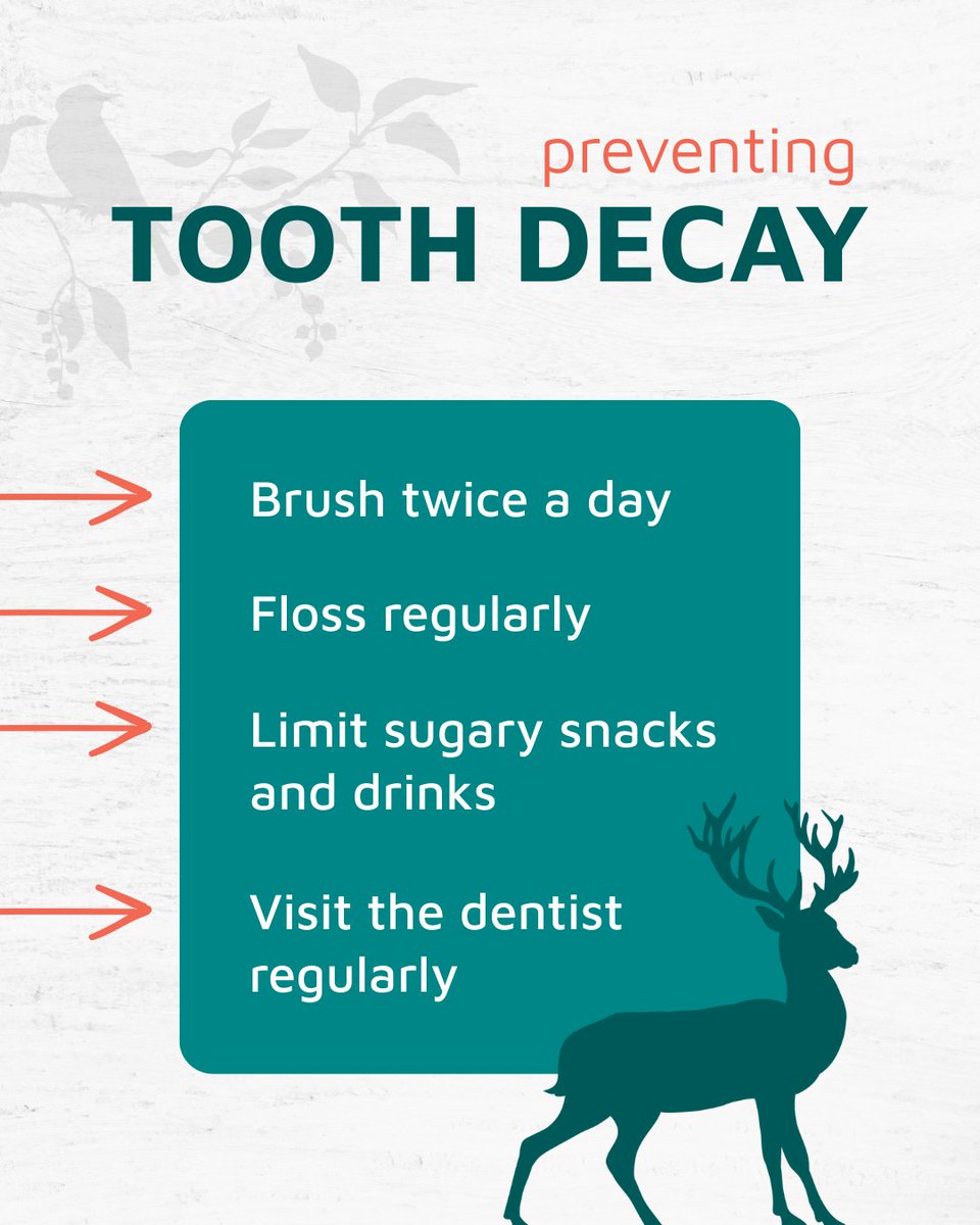 PediatricRva's tweet photo. Tooth decay can start early, but with the right care, it’s preventable! 🛡️ Teach your child proper brushing, flossing, and nutrition to protect their smile. We’re here to help keep those teeth strong and healthy! 🦷✨

🌐 | https://t.co/LashtdgFSx 

#PreventToothDecay https://t.co/bgRvcgHFxn