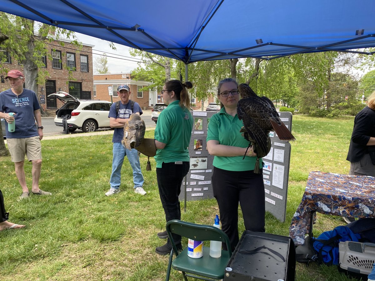 In honor of Haddonfield’s annual Green Week, a slate of events aimed at engaging the local community in environmental issues and raising awareness of solutions, the borough recently hosted a demonstration on birds of prey outside its library.
southjersey.media/?p=253052