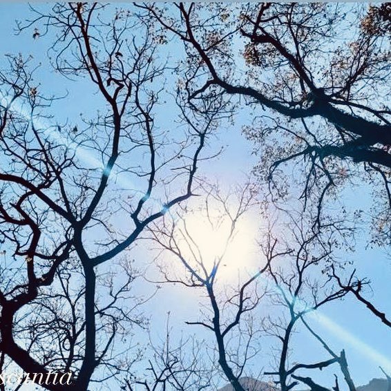 May your day shine as brilliantly as your spirit. #GoodMorning