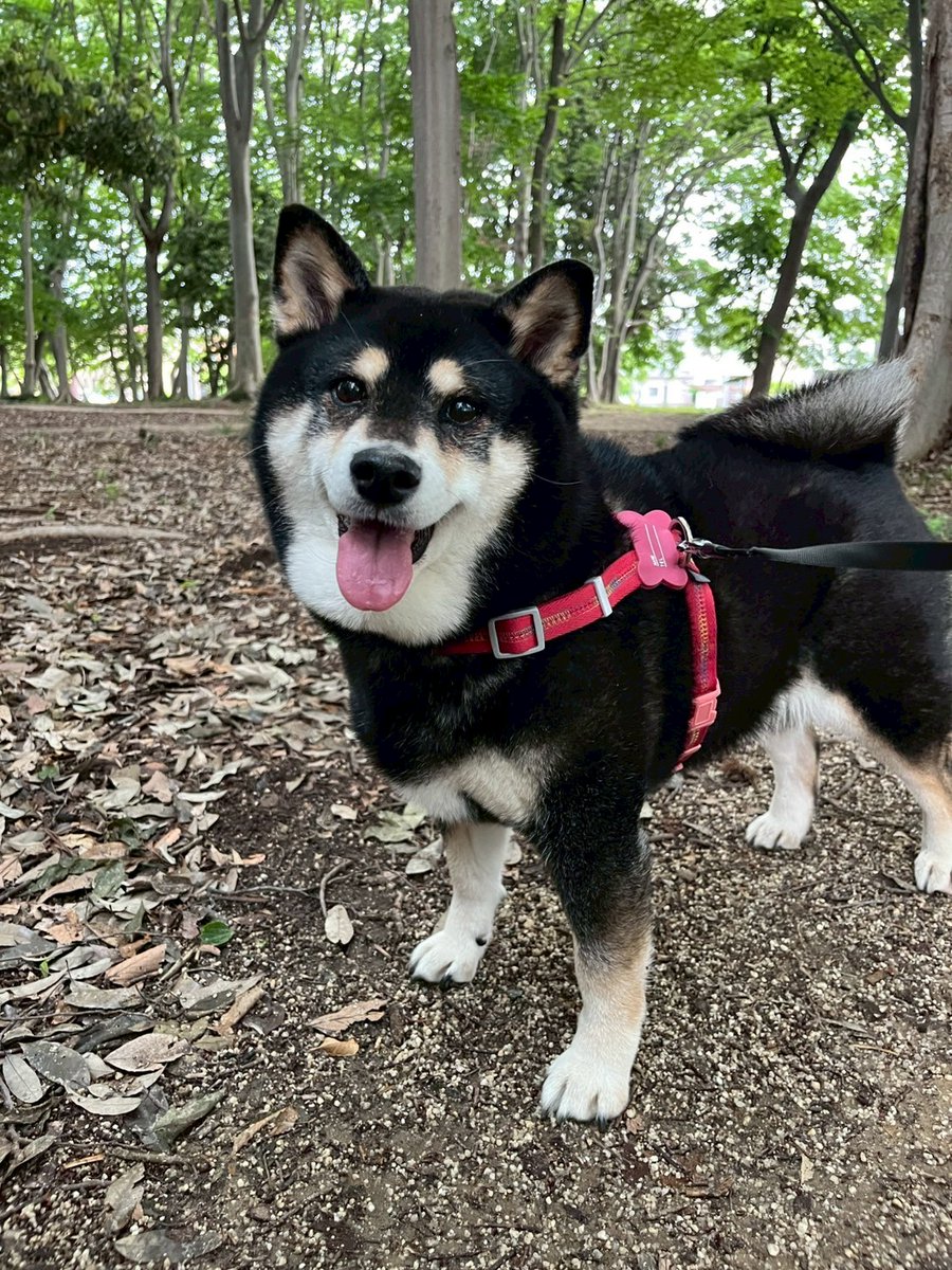 ドウラク@自由に生きるECセラー tweet media