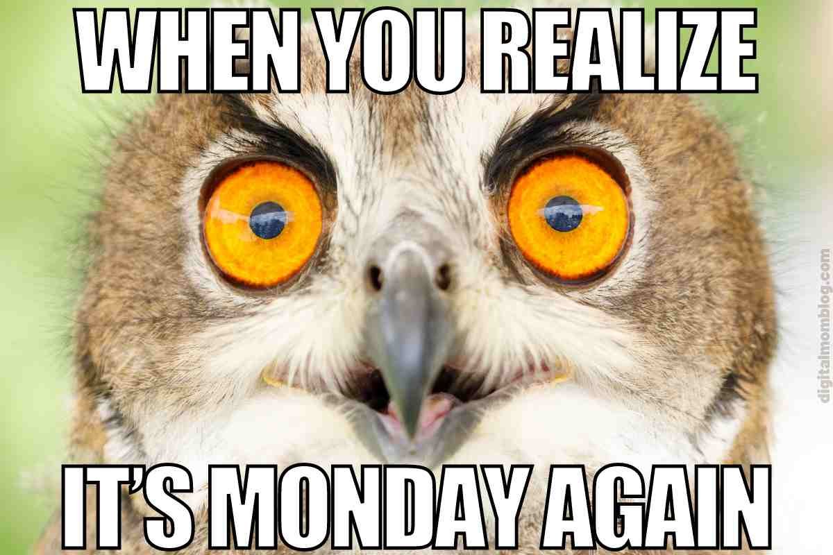 It's Monday! Lets do our best this week!