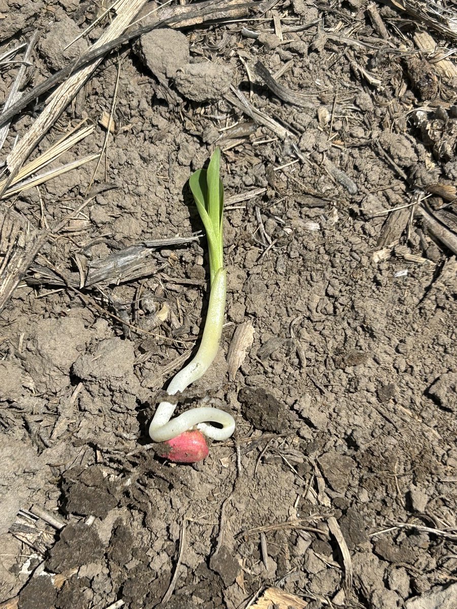 Garrett Kennedy tweet media