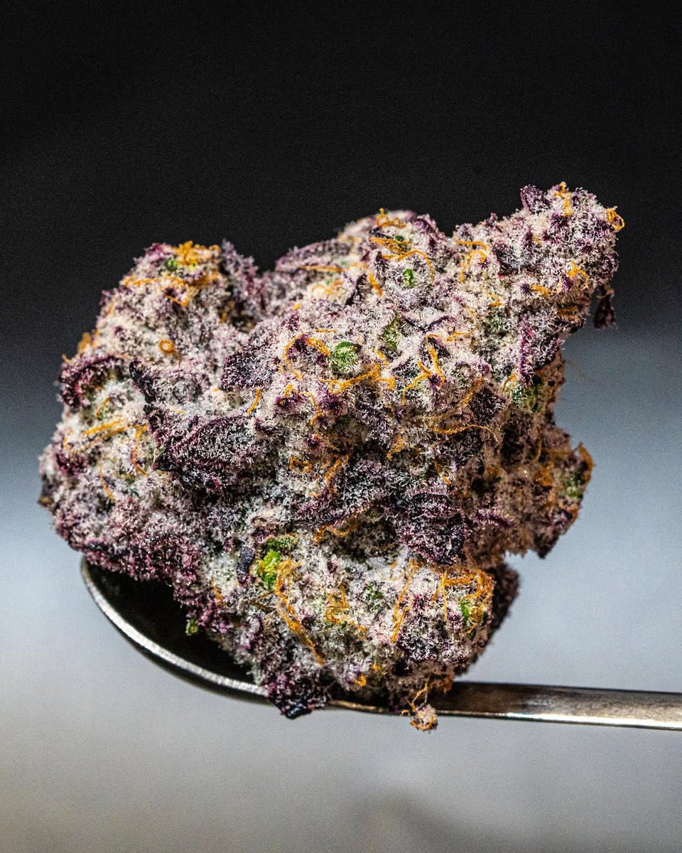 What will you name this strain?