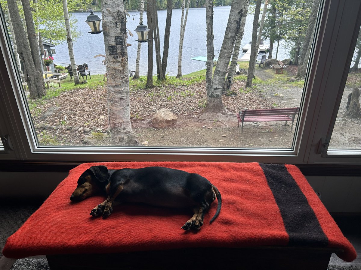 Garnet_2203's tweet image. The Bay. #canadiantire #VictoryDay