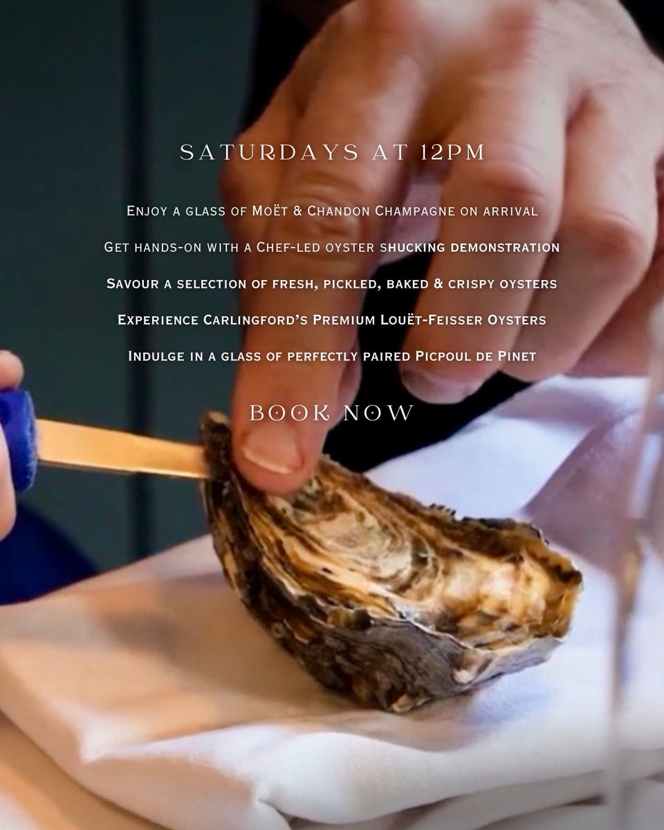Oyster Masterclasses 🦪🥂 Looking for a tasty culinary experience? Dive in to the delectable world of Irish oysters with us 🌊 Saturdays at 12pm. Learn more and book at ➡️ fish-city.com/oyster-masterc…