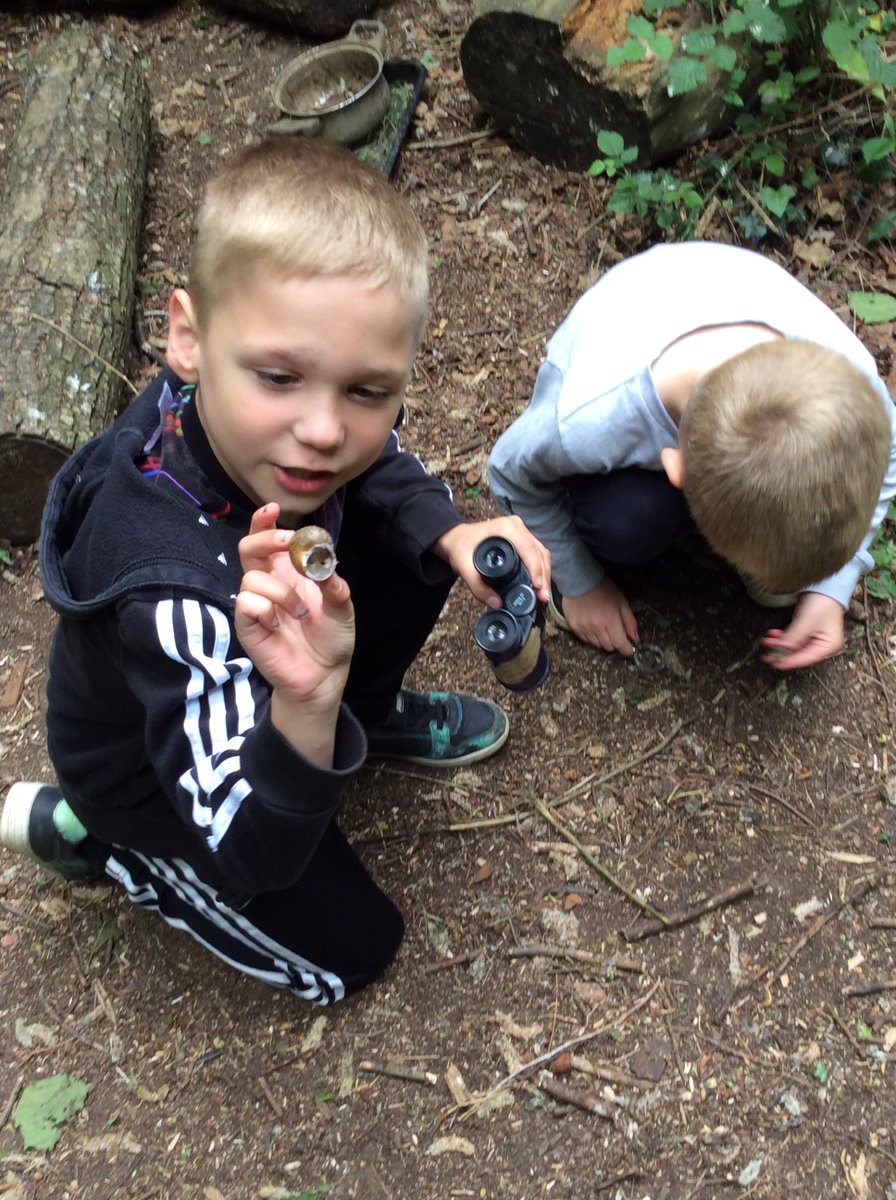 Freeman CP School tweet media