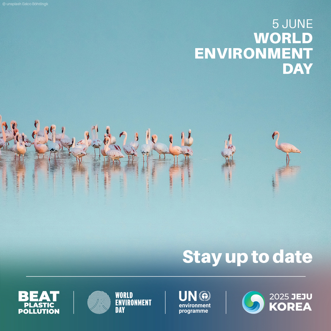 #WorldEnvironmentDay is around the corner!

See how countries, communities &amp; changemakers are stepping up to #BeatPlasticPollution and get inspired to join in: worldenvironmentday.global/2025-updates
