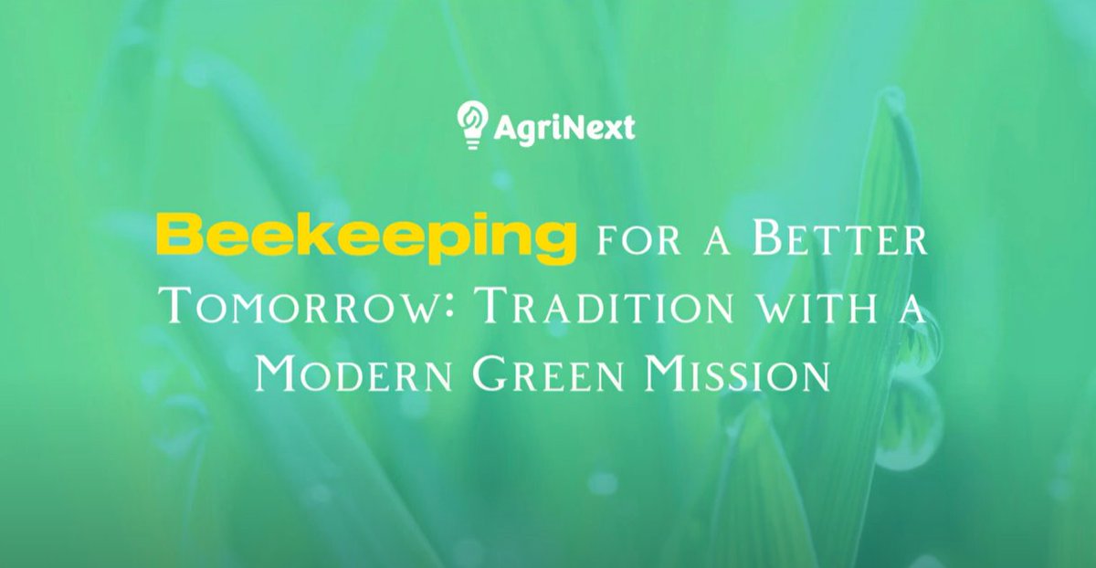 AgrinextProject's tweet photo. May 20 is 𝕎𝕠𝕣𝕝𝕕 𝔹𝕖𝕖 𝔻𝕒𝕪! Bees power our food, farms & future. 🐝🌸
Beekeeping = multifunctional agri at its best: income, biodiversity & education!
Watch @ProjectsBCNaklo students' video from Green Job = Dream Job: https://t.co/aLqbKl1NkE
#WorldBeeDay #SupportBees https://t.co/dvgTcuGOp4