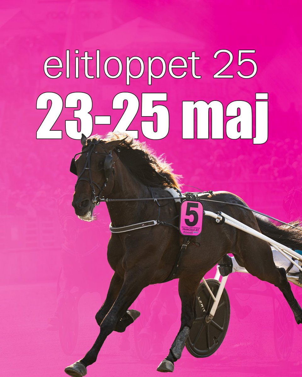 travtjansten's tweet photo. Elitloppspaketet med tips till alla lopp hittar du här: https://t.co/lxYW70nYeQ https://t.co/swS3uKlpkm