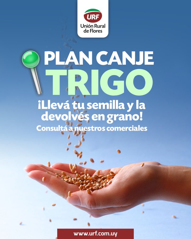 🌾 ¿𝗬 𝘃𝗼𝘀? ¿𝗬𝗮 𝗮𝗿𝗺𝗮𝘀𝘁𝗲 𝘁𝘂 𝗽𝗹𝗮𝗻 𝗱𝗲 𝘁𝗿𝗶𝗴𝗼?
En URF te damos respaldo en cada etapa del cultivo.
📍 Con nuestro PLAN CANJE tenés la oportunidad de acceder a los mejores materiales y los pagás con grano!
Contactá a nuestros comerciales:

📍FLORES/DURAZNO 092