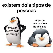 gatuna das promoções tweet media