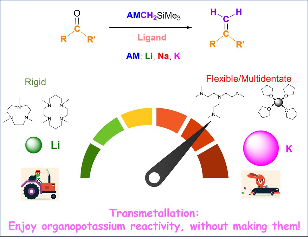 Erli Lu Group (@erli_lu) on Twitter photo pubs.rsc.org/en/content/art…
Congratualtions to Xiao Yang, Matthew Lowe (both Year-2 PhD) and <a href="/DavisonNathan_/">Nathan Davison</a> for this nice paper on C=O methylenation (Peterson reaction). Thanks <a href="/r_armstrong_lab/">Roly Armstrong</a>, <a href="/clairemcmullin/">Dr Claire McMullin</a> and <a href="/Hopkinson_Lab/">Hopkinson Research Group</a>!
<a href="/UoBChemistry/">UoBChemistry</a> <a href="/ChemistryNCL/">Newcastle Chemistry</a>
<a href="/ChemicalScience/">Chemical Science</a> pubs.rsc.org/en/content/art…
Congratualtions to Xiao Yang, Matthew Lowe (both Year-2 PhD) and <a href="/DavisonNathan_/">Nathan Davison</a> for this nice paper on C=O methylenation (Peterson reaction). Thanks <a href="/r_armstrong_lab/">Roly Armstrong</a>, <a href="/clairemcmullin/">Dr Claire McMullin</a> and <a href="/Hopkinson_Lab/">Hopkinson Research Group</a>!
<a href="/UoBChemistry/">UoBChemistry</a> <a href="/ChemistryNCL/">Newcastle Chemistry</a>
<a href="/ChemicalScience/">Chemical Science</a>