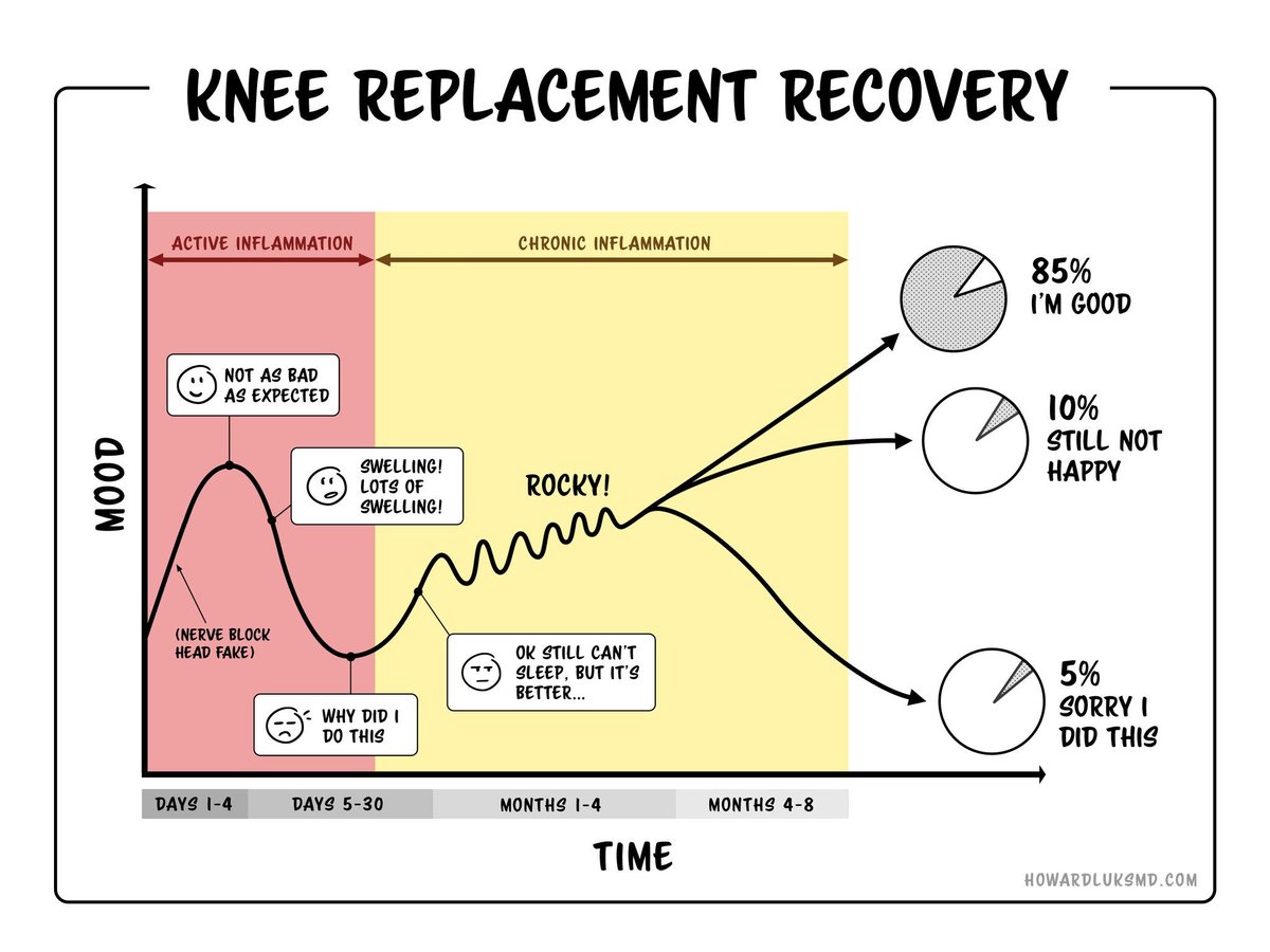 InfoPhysiotherapy (@infophysiopt) on Twitter photo Fantastic infographic by <a href="/hjluks/">Howard Luks MD</a> to help set realistic expectations with patients regarding their recovery following a knee replacement 🦵 Fantastic infographic by <a href="/hjluks/">Howard Luks MD</a> to help set realistic expectations with patients regarding their recovery following a knee replacement 🦵