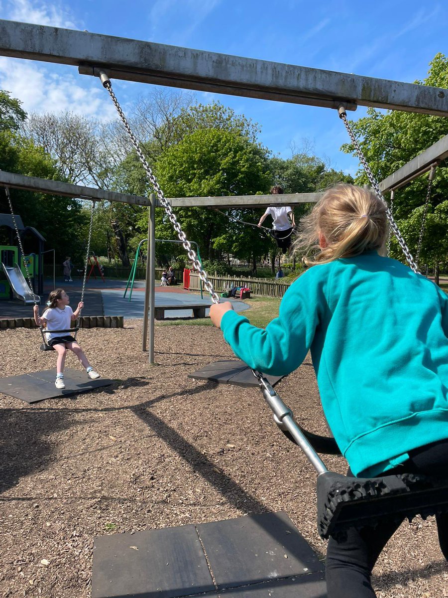 Whitehouse Primary tweet media