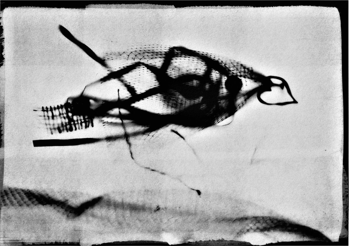 Equal Arts tweet media