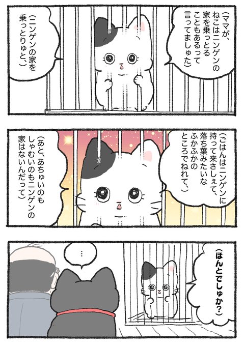 ねこおじ様 ねこに転生したおじさん。その686