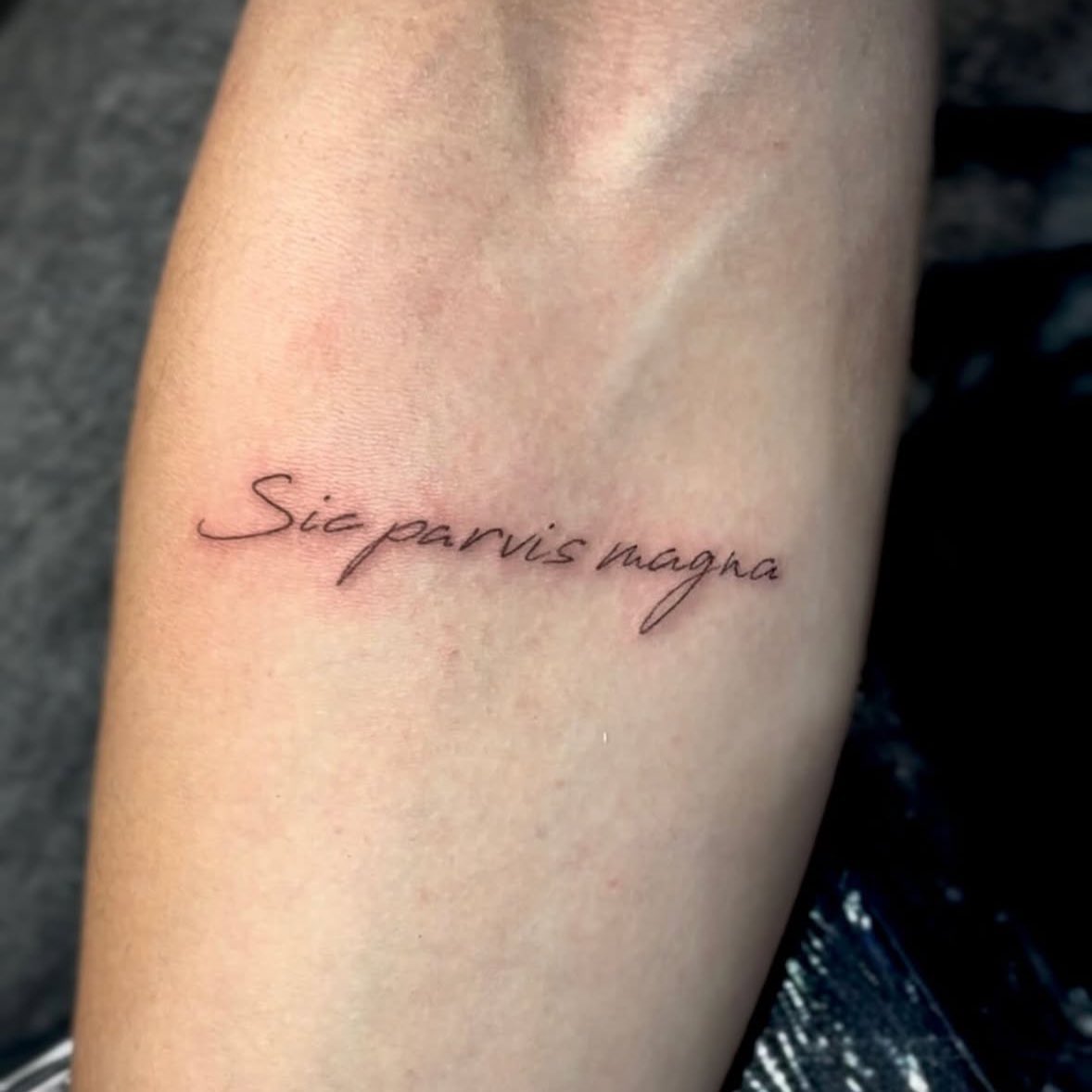 laydmaxix's tweet image. deve ser simplesmente horrível querer criticar Zeudi em tudo que ela faz e não conseguir esse feito em NADA porque ela é simplesmente absurda de talentosa, artística, detalhista, cuidadosa, esforçada e multitalentosa
um combo de DONS que não é fácil de encontrar, fora da curva d+