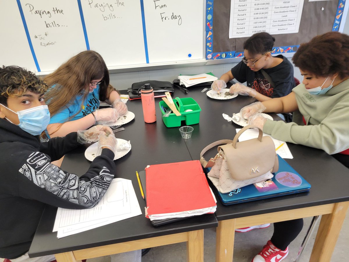 Stephanie Francis (@mrsfrancisnsd) on Twitter photo Dissecting owl pellets and learning about food webs during 3rd period. <a href="/NorthgateProud/">Caroline Johns</a> <a href="/NorthgateMiddle/">Northgate Middle School</a> Dissecting owl pellets and learning about food webs during 3rd period. <a href="/NorthgateProud/">Caroline Johns</a> <a href="/NorthgateMiddle/">Northgate Middle School</a>