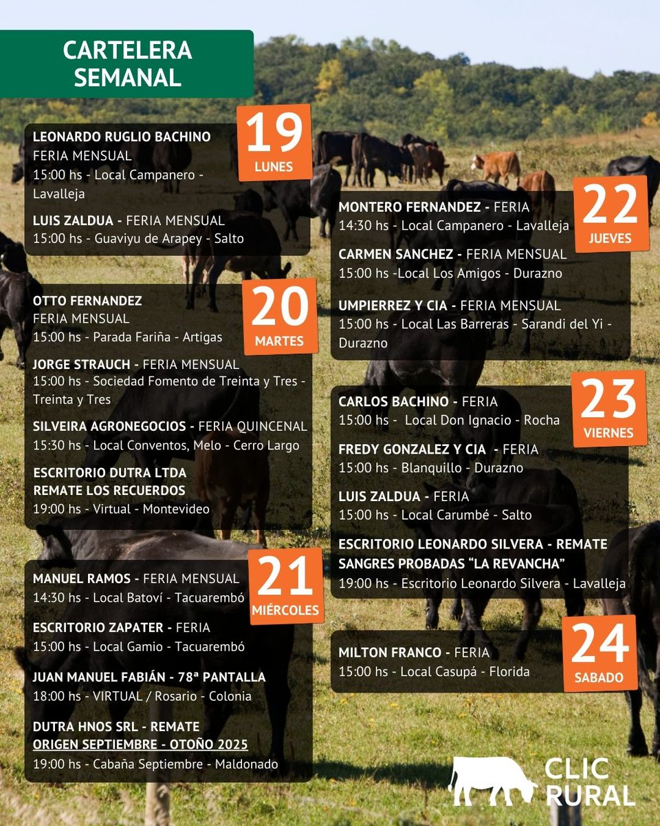 📢 Cartelera semanal de ClicRural!⁣⁣⁣⁣

🌟 Descargate la APP CLICRURAL y seguí todos en VIVO 📲⁣⁣⁣⁣⁣⁣⁣⁣⁣⁣⁣⁣⁣⁣⁣⁣⁣⁣⁣⁣⁣⁣⁣⁣⁣⁣⁣⁣⁣⁣⁣⁣⁣⁣⁣

Ingresá en clicrural.com.uy 💻
A tan solo un clic 

📡 ClicRural La Fuerza Digital 💪