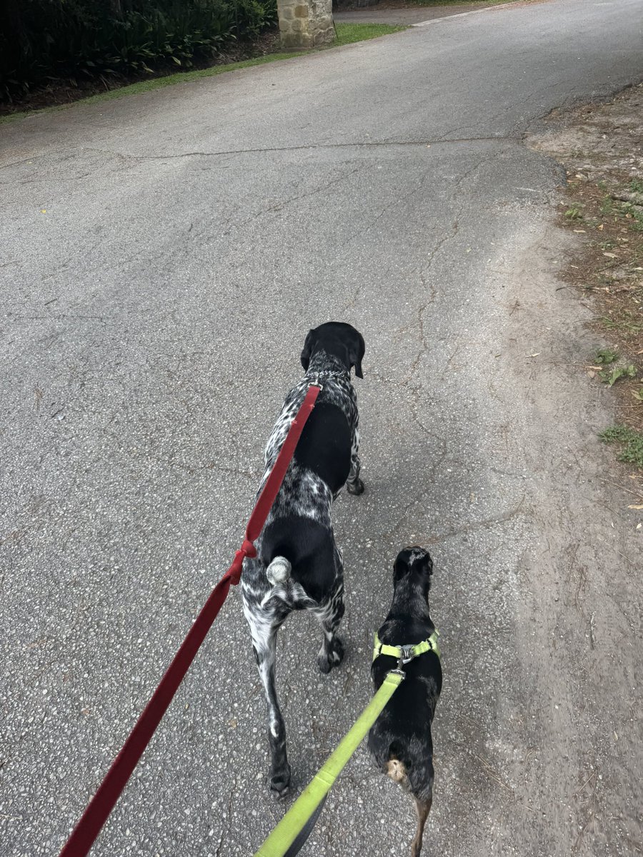 Zack Cozart tweet media