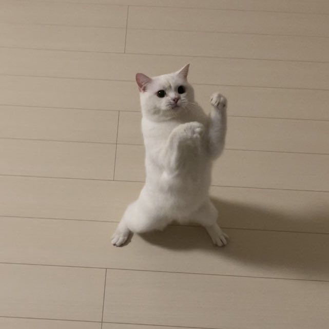 babepor^ིྀ tweet media