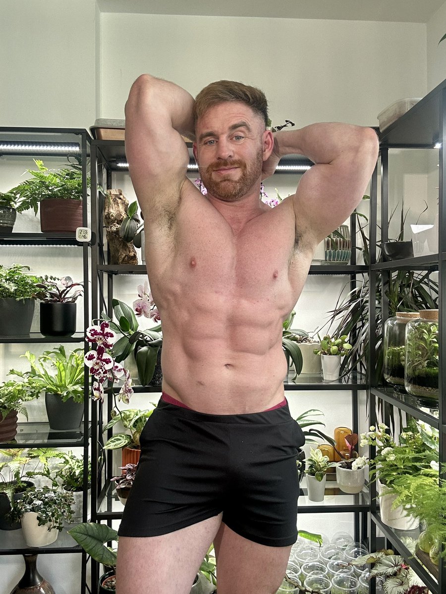 Settling into my new flat and of course my plants got priority lol. 

Happy plants = happy Plant dad!