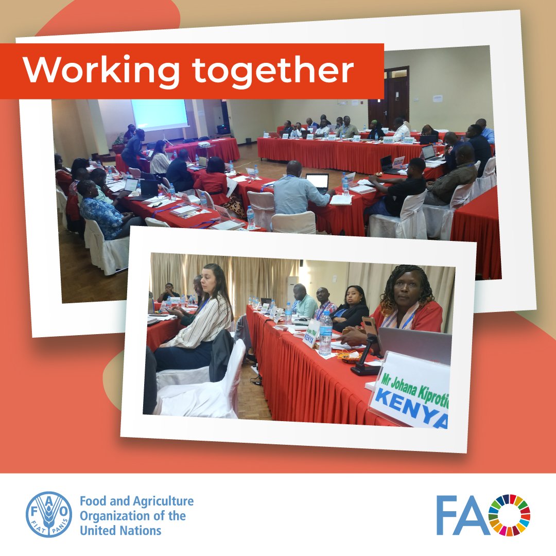 FAO Livestock (@faolivestock) on Twitter photo IAEA and <a href="/FAO/">Food and Agriculture Organization</a> train 13 African countries on data management and mapping of #tsetse and animal #trypanosomosis for improved disease control.
🌐IAEA & Tsetse flies: bit.ly/4jZjMbS
🌐FAO & Trypanosomosis: fao.org/paat
🌐Project DIMCAT: bit.ly/3GIZ5SG IAEA and <a href="/FAO/">Food and Agriculture Organization</a> train 13 African countries on data management and mapping of #tsetse and animal #trypanosomosis for improved disease control.
🌐IAEA & Tsetse flies: bit.ly/4jZjMbS
🌐FAO & Trypanosomosis: fao.org/paat
🌐Project DIMCAT: bit.ly/3GIZ5SG