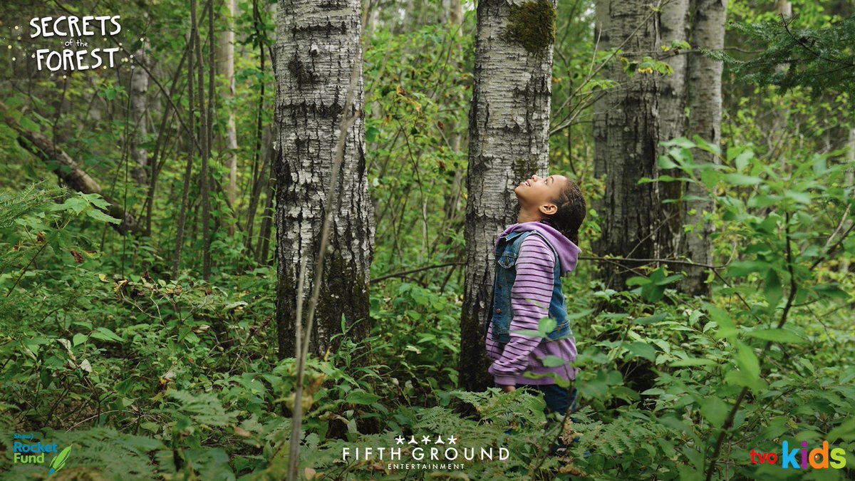 Park-lovers, have you seen "The Great Big Boreal" on Secrets of the Forest? 📺🌲

Join Taviss as she heads to #EskerLakesPP, where our Discovery staff help her discover why the boreal forest is called the “lungs of the Earth.” 

Watch now: bit.ly/3EAXRbA
