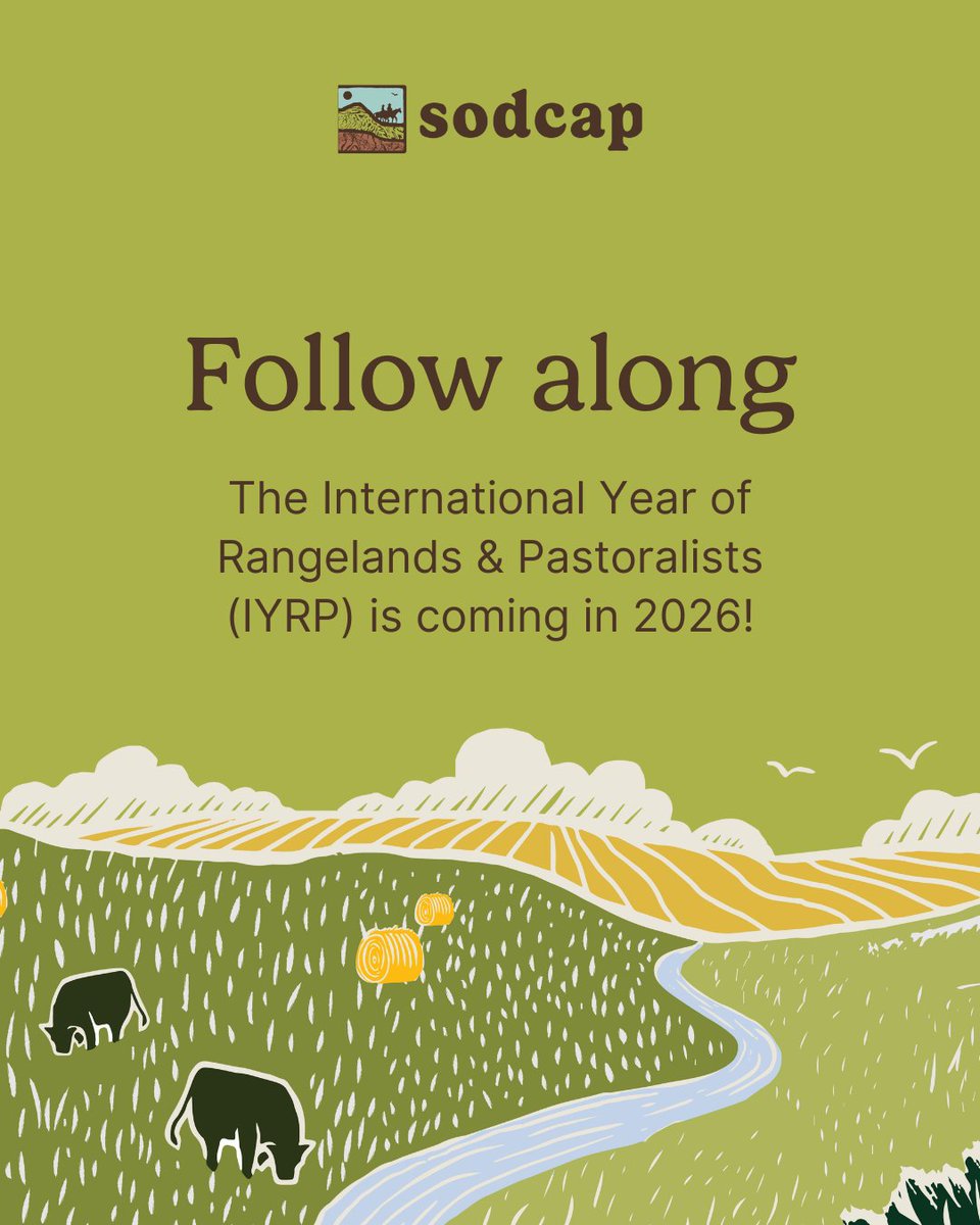 Want to see how North America is preparing to shine a spotlight on our rangelands?

Visit: iyrp.info/north-america for updates and resources.

Why it matters:
This is our chance to highlight what makes Saskatchewan’s grasslands so important!