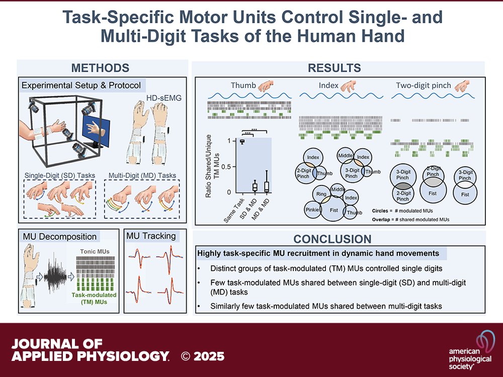 japplphysiol's tweet photo. Research Article by @MariusOsswald et al. (@AlecsDelVecchio @DanielaOlivi) Task-specific motor units in the extrinsic #handmuscles control single- and multidigit tasks of the human hand. 🖐️ #neuromuscular #electromyography
https://t.co/OXKnVuuAGC https://t.co/h07fPY9oNo