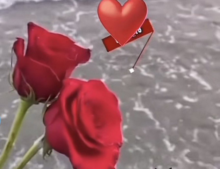 بقايا حلم (@asmaalqhtn) on Twitter photo 