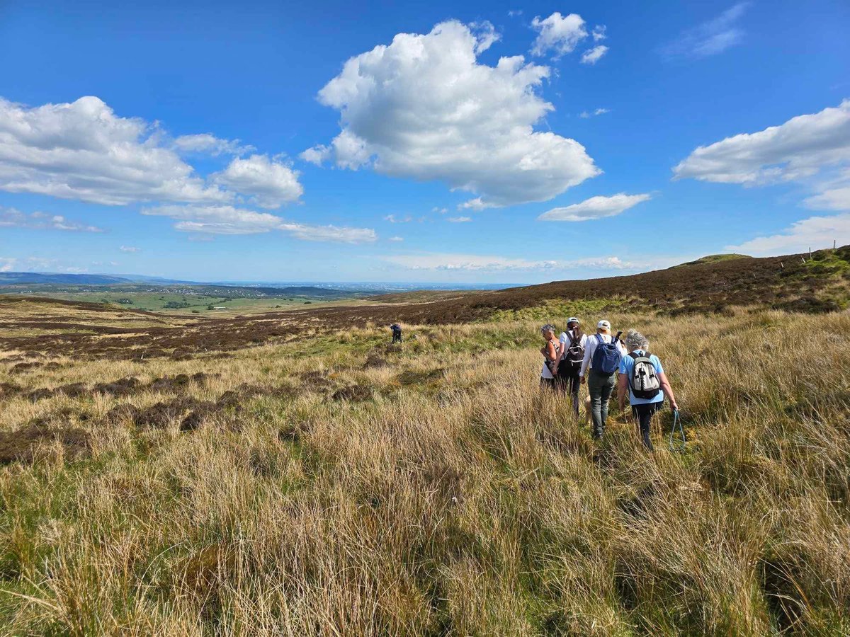 Fiona Loose tweet media