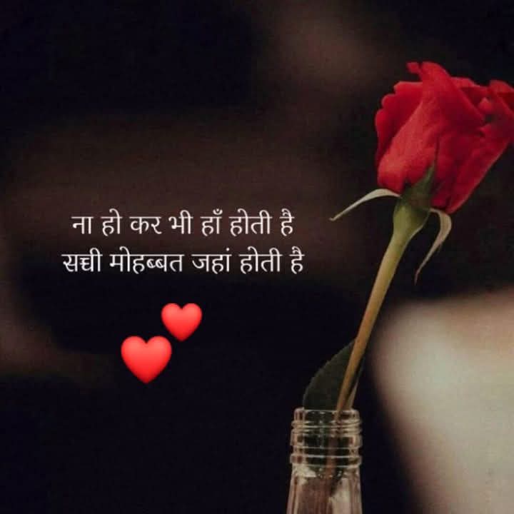 🌹hii🌹
