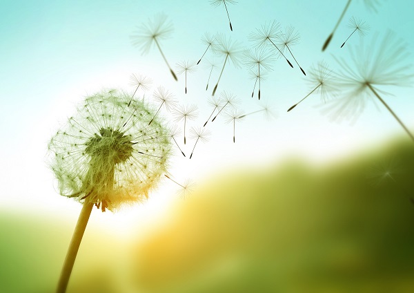 “What I hope people understand about #palliativecare is that what we do is based on what you need from us. The things that we do can be life changing. 

And whatever we encounter, we’re going to be right here next to you, and we’re going to tackle it together.”

#MondayMotivation