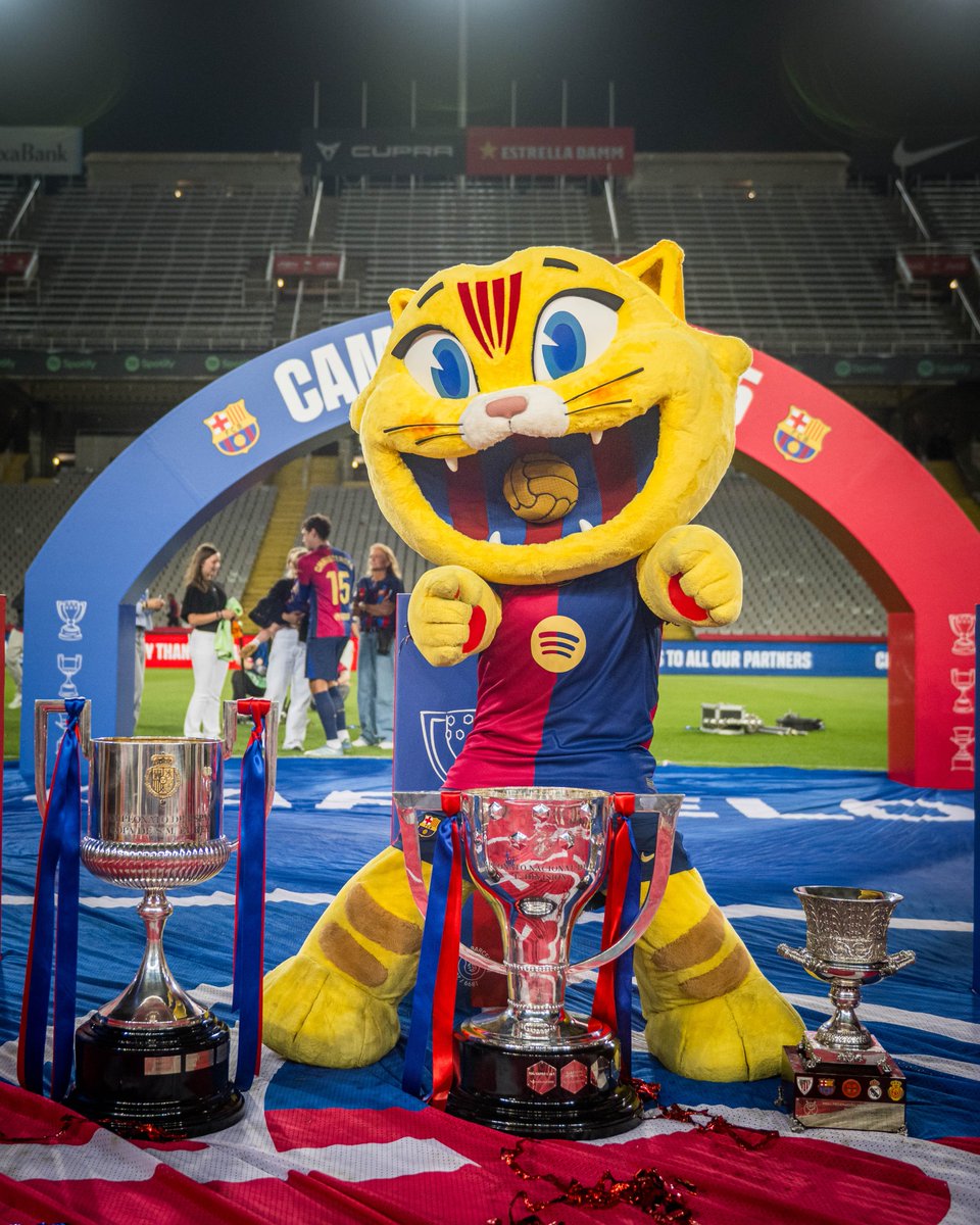FCBarcelona_cat's tweet image. Cat amb les seves joguines