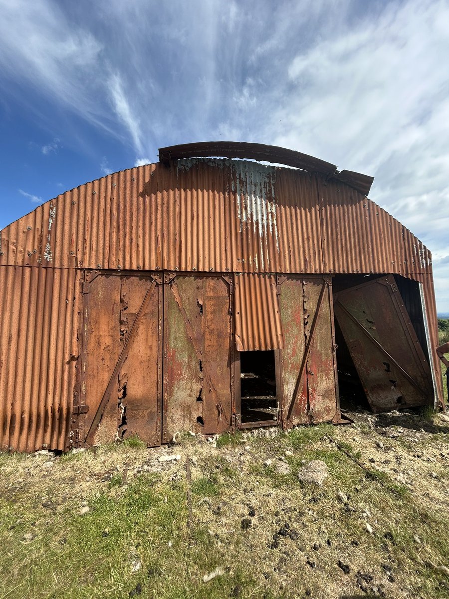 Fiona Loose tweet media