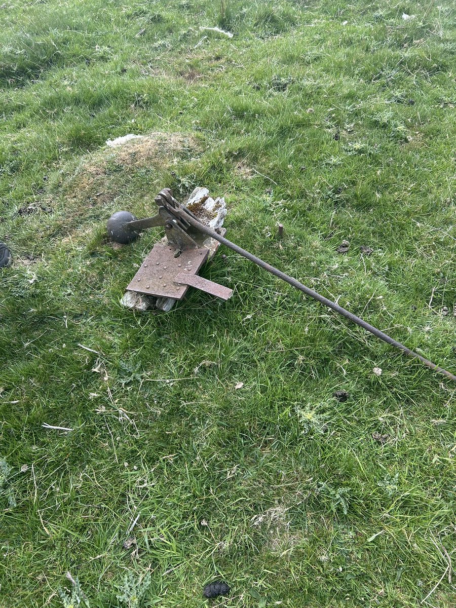 Fiona Loose tweet media