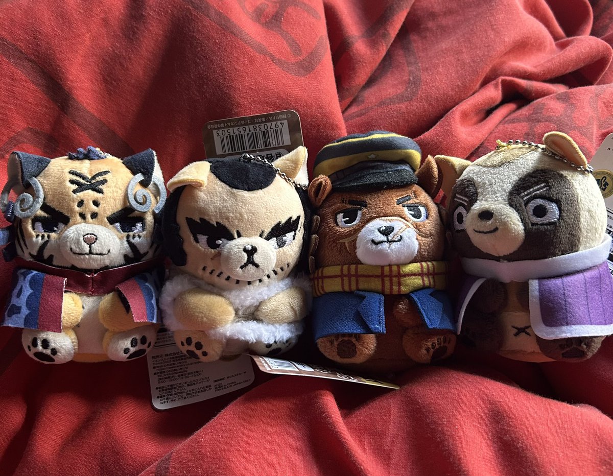 bruno 🐻 🐾 tweet media