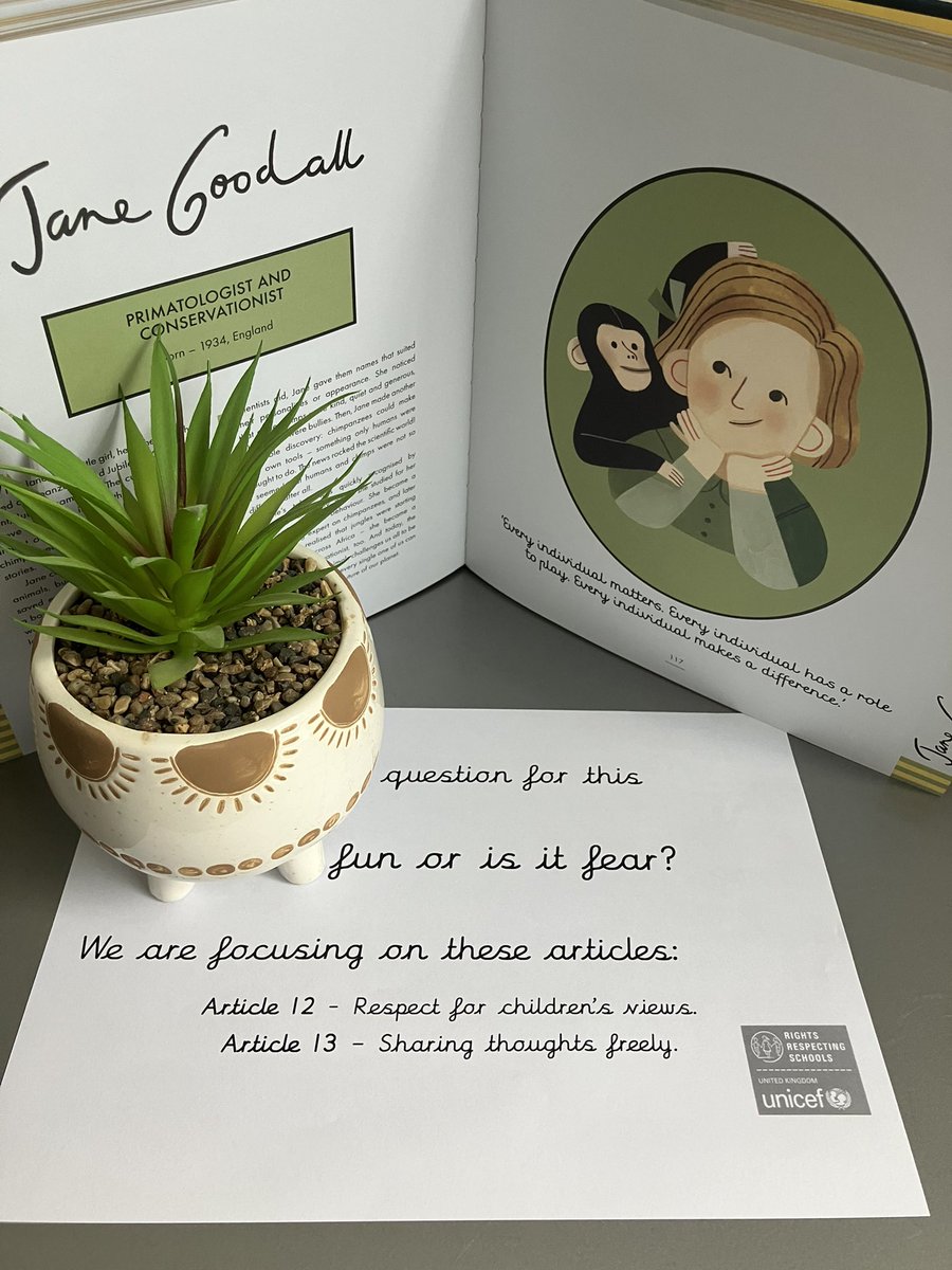 Ayresome Primary School tweet media