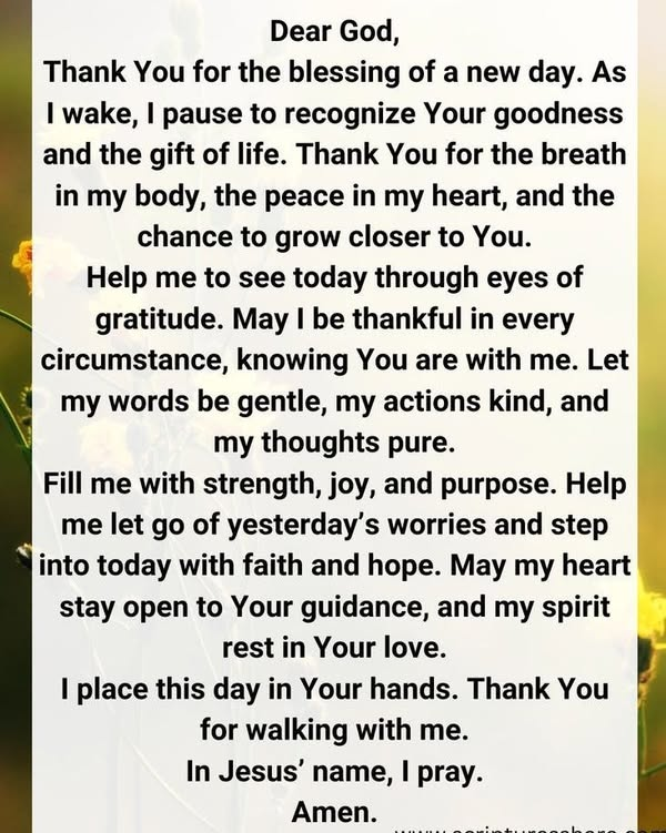 weglysr's tweet photo. Thank you Lord
Amen https://t.co/vHVmgkatXv