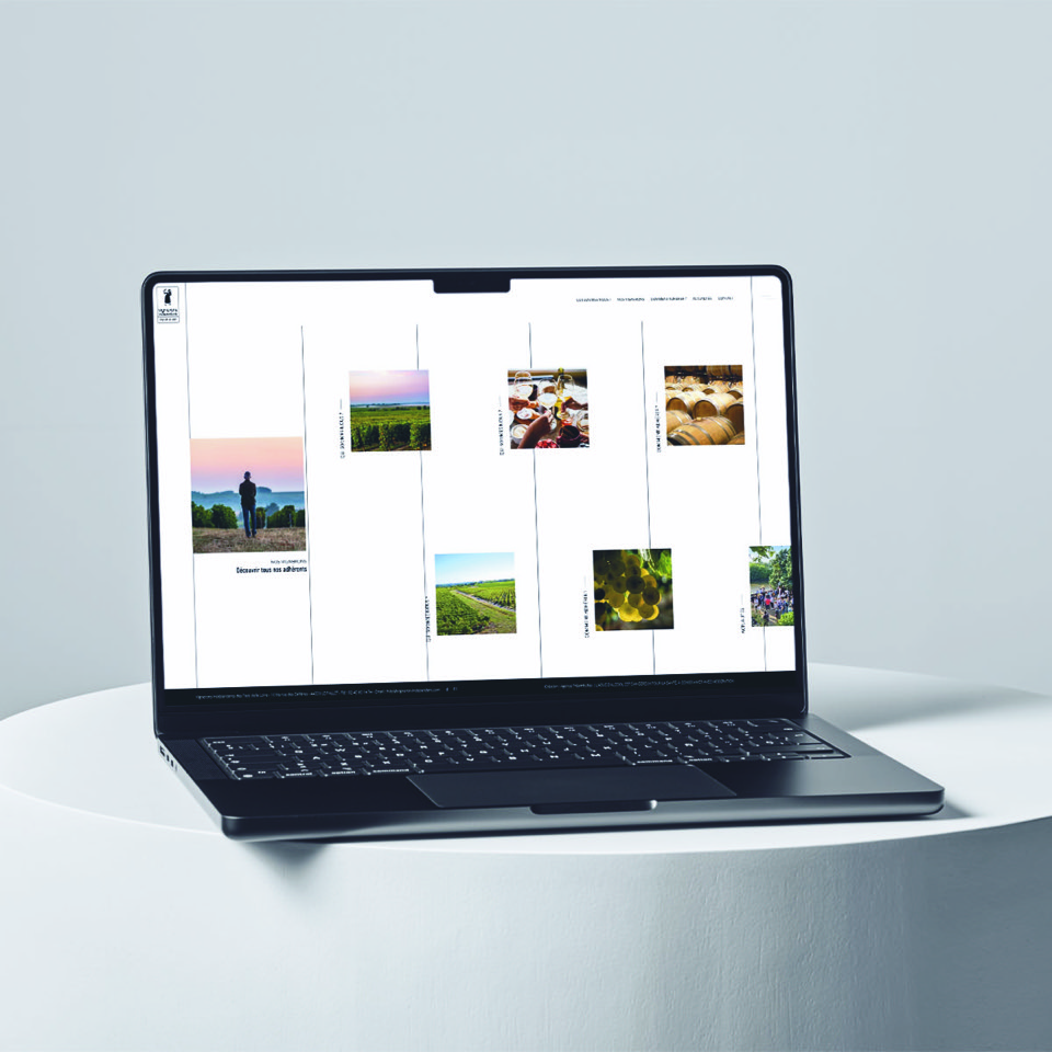 Notre site internet s'est refait une beauté ! 🤩
Retrouvez nos vignerons et les valeurs qu'ils portent : …rons-independants-pays-de-la-loire.fr
Bonne visite !