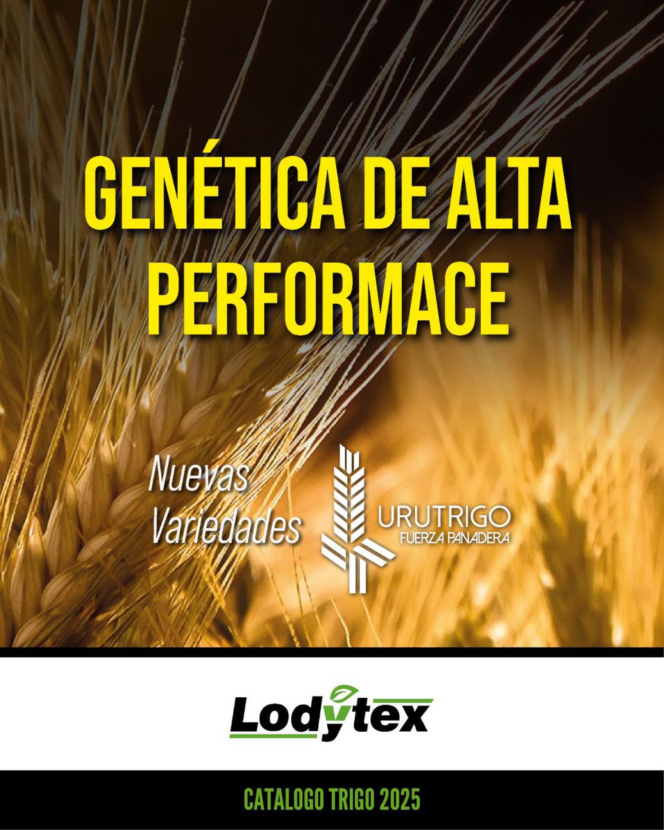 Lodytex tweet media