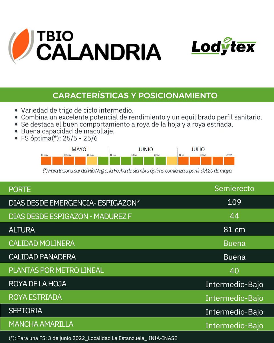 Lodytex tweet media