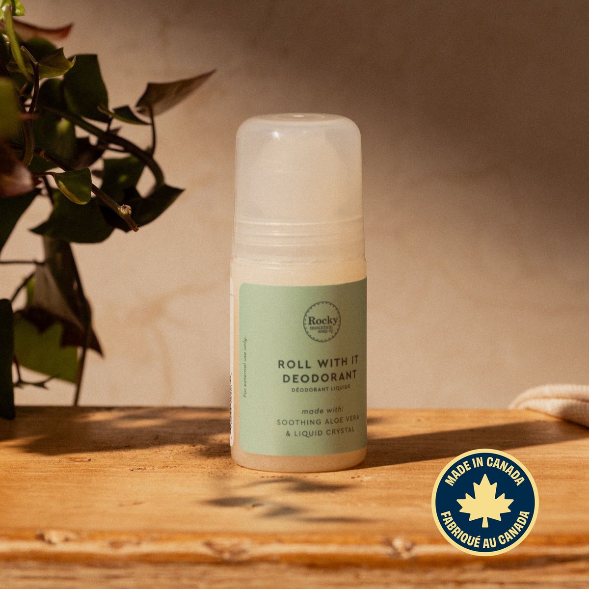 Indeygo Fundraising tweet media