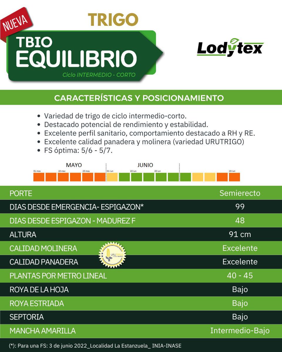 Lodytex tweet media