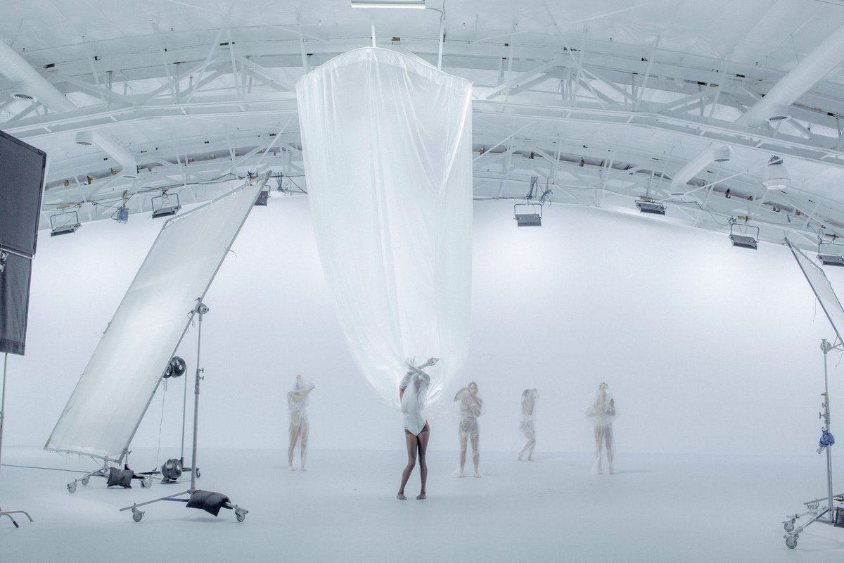 fakewhale tweet media