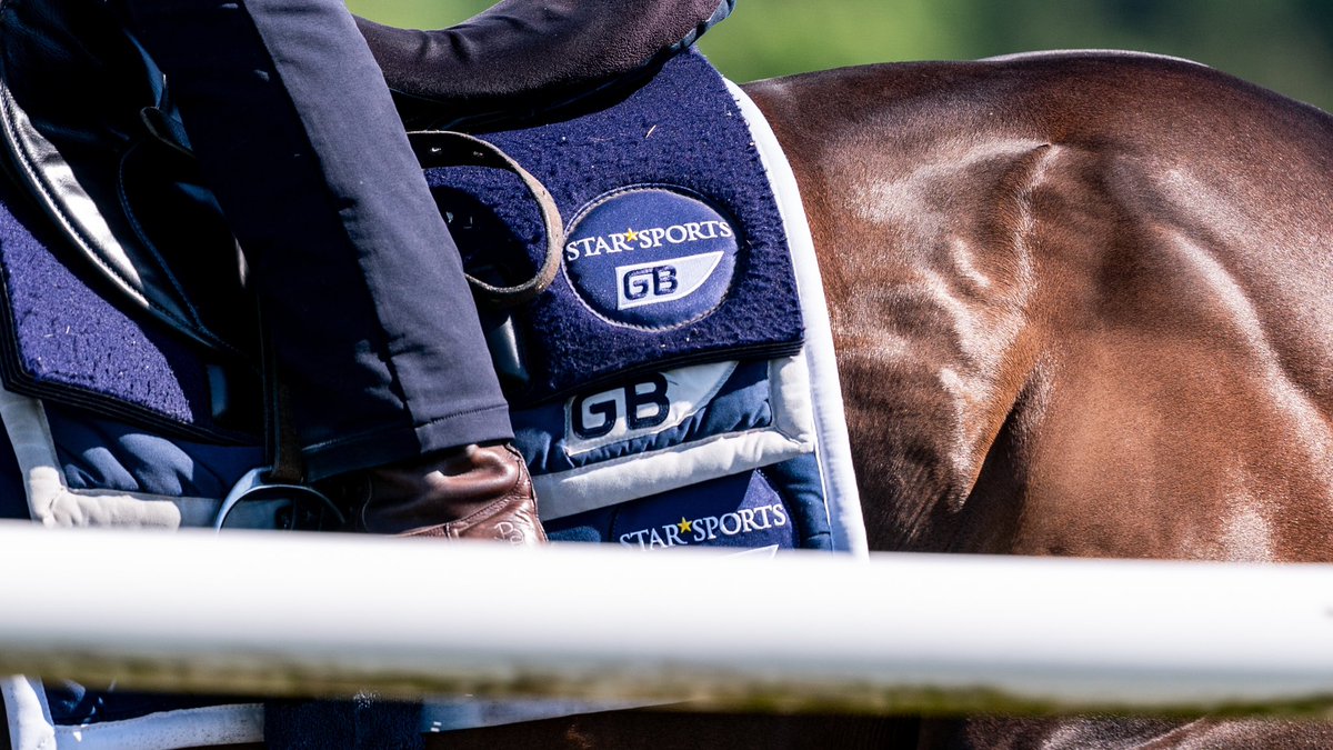 George Boughey Racing (@gbougheyracing) on Twitter photo George Boughey Racing x Star Sports
We are delighted to welcome <a href="/StarSports_Bet/">Star Sports Bookmakers</a> as our new yard sponsor for the next two years 🔵💫⚪️ George Boughey Racing x Star Sports
We are delighted to welcome <a href="/StarSports_Bet/">Star Sports Bookmakers</a> as our new yard sponsor for the next two years 🔵💫⚪️
