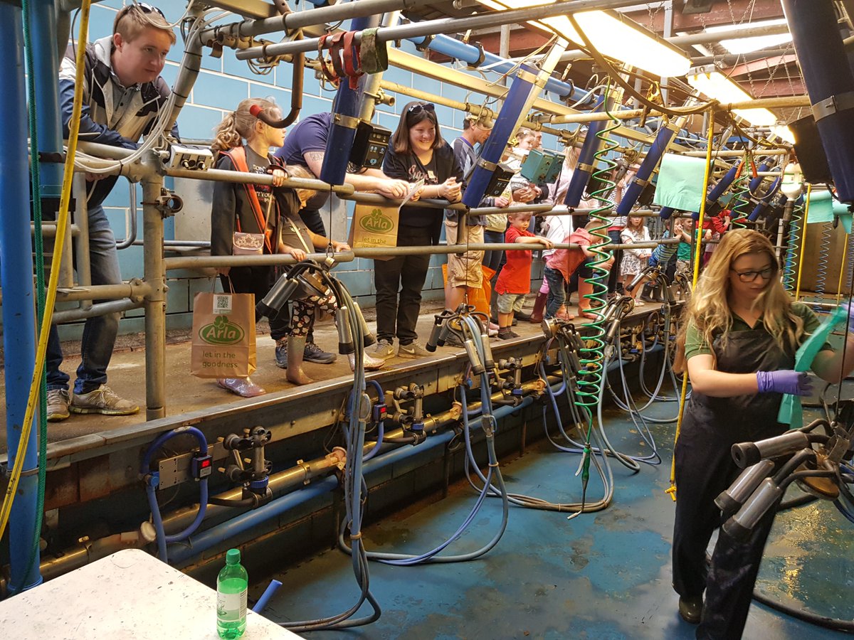 🌳🚜 See how a farm works from the inside out! Meet the farmers, see the animals, and discover the magic behind your food this June on Open Farm Sunday. 🌾🐏🥕 #OFS25 #FarmingWithNature #FamilyFun
farmsunday.org/visit-a-farm
