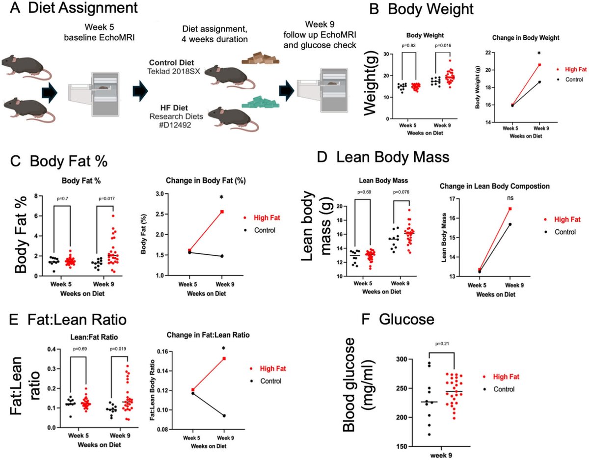 JAHA (@jaha_aha) on Twitter photo New study provides key insights into how maternal obesity contributes to the development of congenital heart defects in offspring. #AHAJournals <a href="/IUWellsCenter/">Herman B Wells Center for Pediatric Research</a> <a href="/IUMedSchool/">IU School of Medicine</a> <a href="/IUSMPedsNeo/">IU/Riley Children's Health Neonatology</a> ahajrnls.org/43HLRxx New study provides key insights into how maternal obesity contributes to the development of congenital heart defects in offspring. #AHAJournals <a href="/IUWellsCenter/">Herman B Wells Center for Pediatric Research</a> <a href="/IUMedSchool/">IU School of Medicine</a> <a href="/IUSMPedsNeo/">IU/Riley Children's Health Neonatology</a> ahajrnls.org/43HLRxx